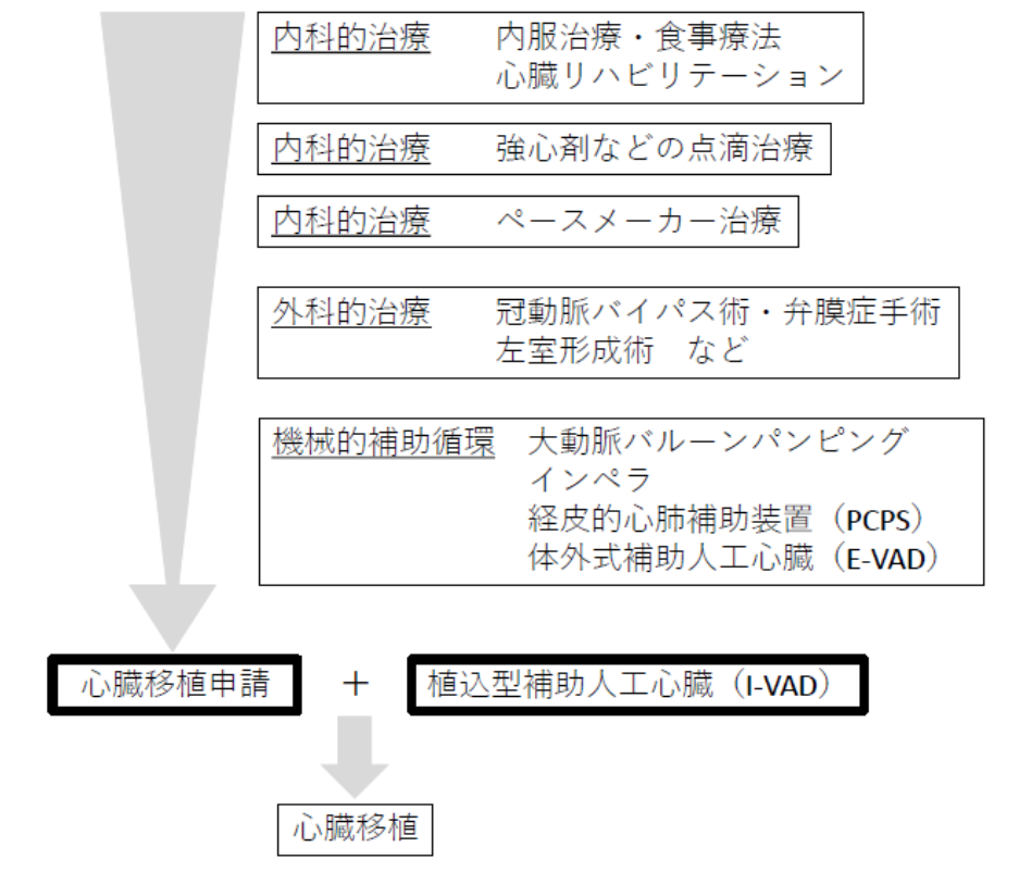 2.補助循環