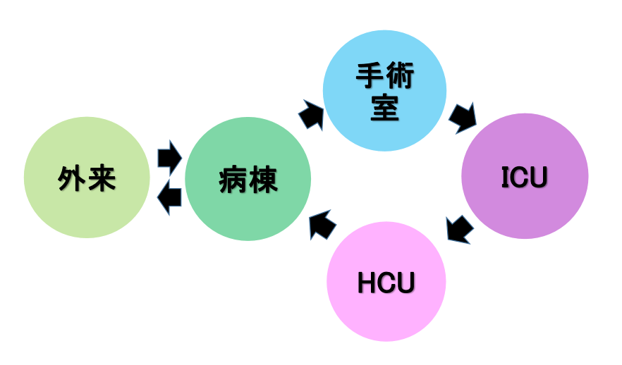 診療看護師（FNP）の活動